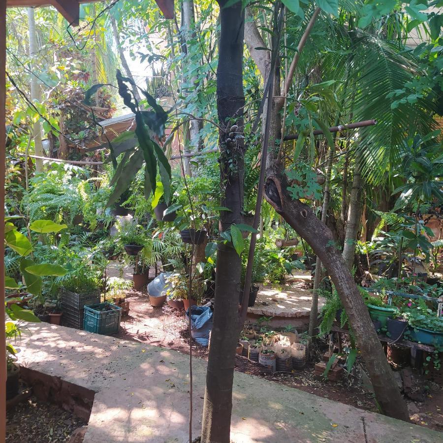 Hostel Guazu Puerto Iguazu Luaran gambar