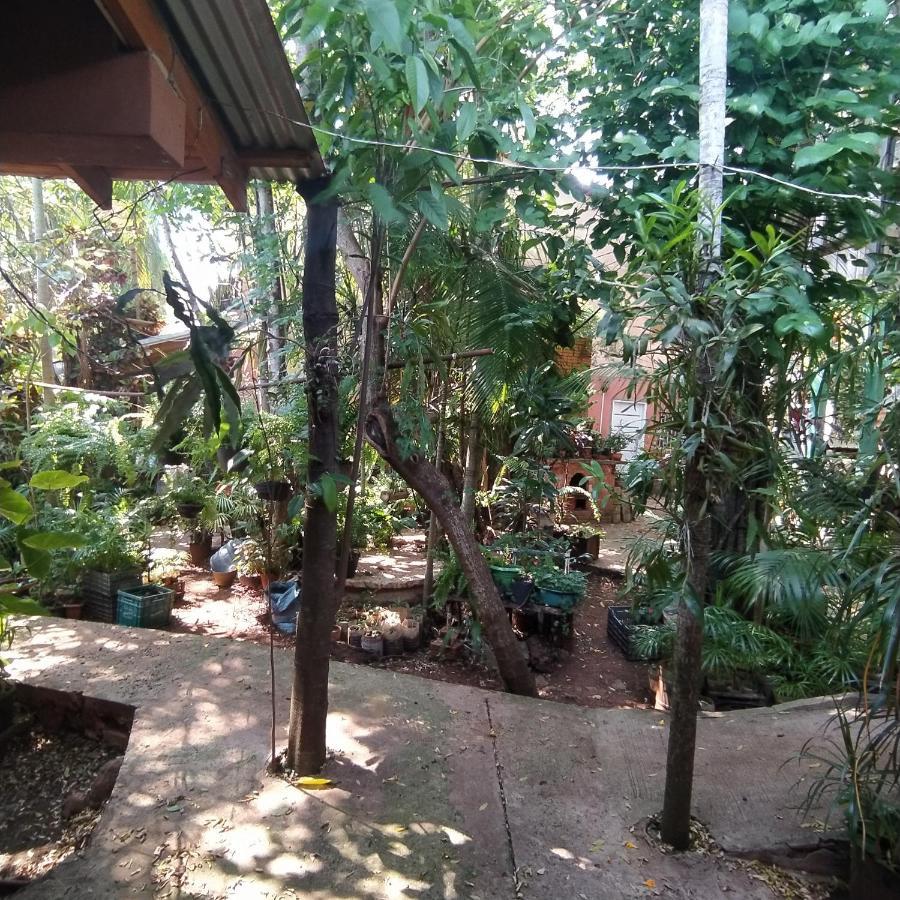 Hostel Guazu Puerto Iguazu Luaran gambar