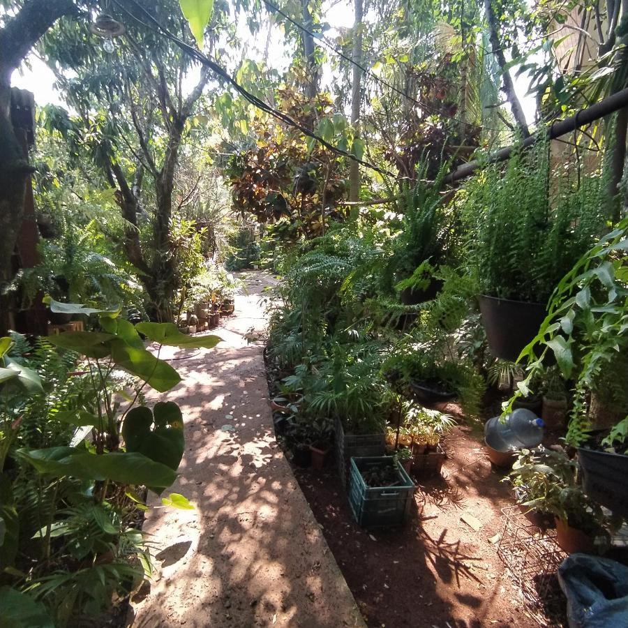 Hostel Guazu Puerto Iguazu Luaran gambar