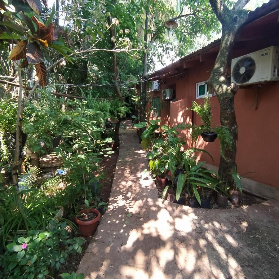 Hostel Guazu Puerto Iguazu Luaran gambar