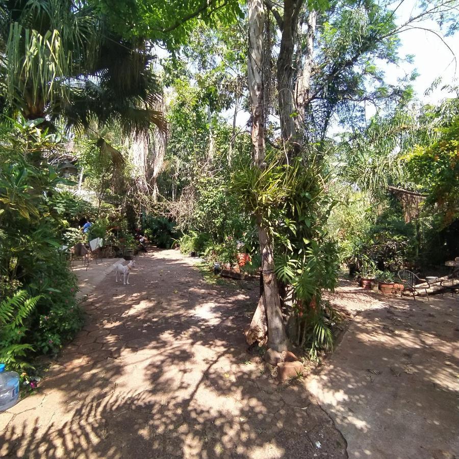 Hostel Guazu Puerto Iguazu Luaran gambar