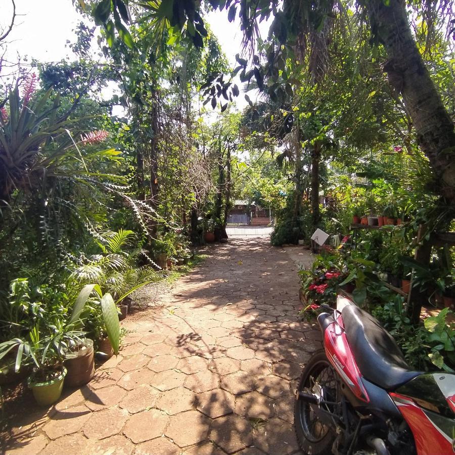 Hostel Guazu Puerto Iguazu Luaran gambar