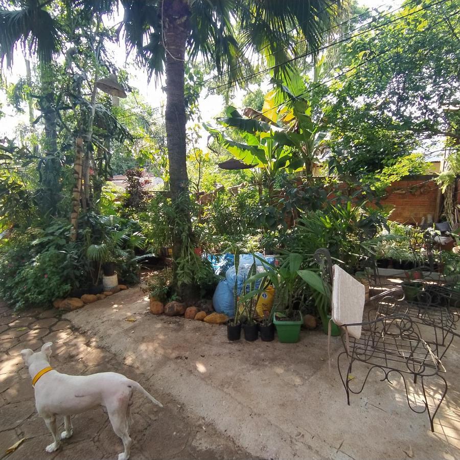 Hostel Guazu Puerto Iguazu Luaran gambar