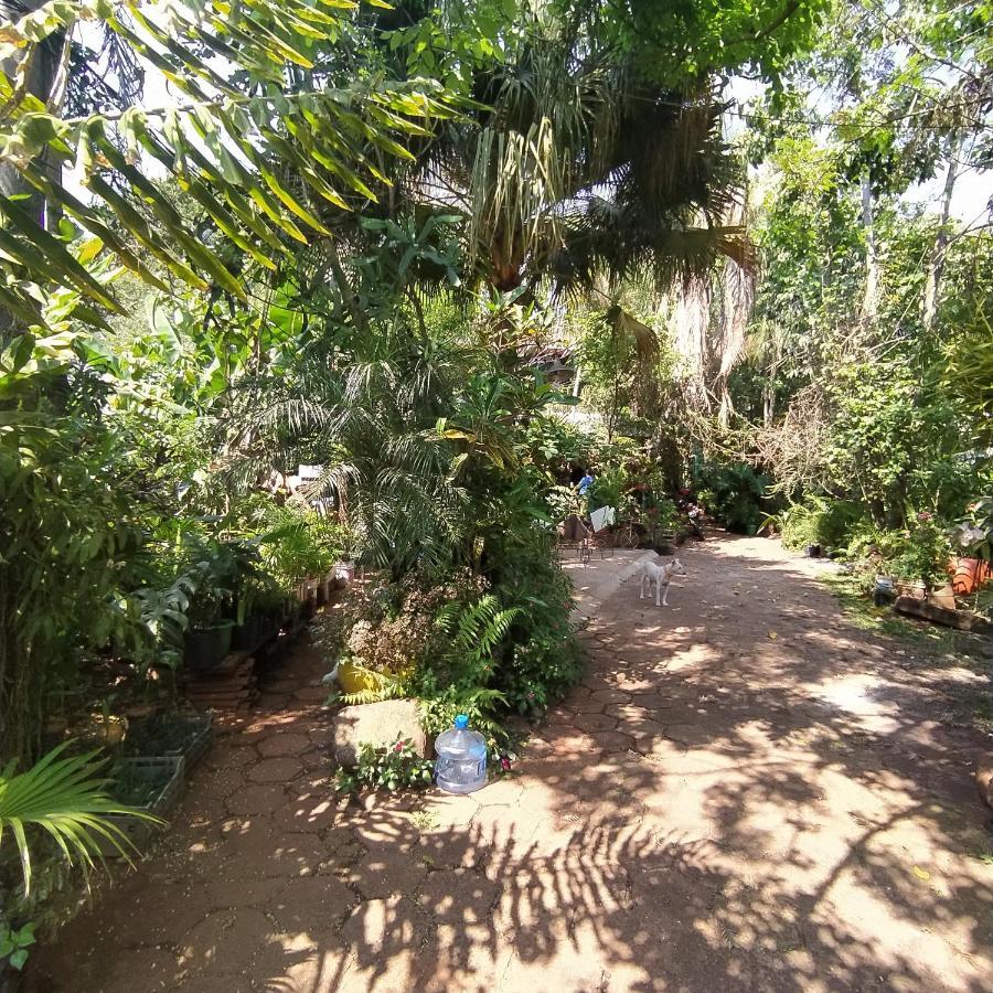 Hostel Guazu Puerto Iguazu Luaran gambar