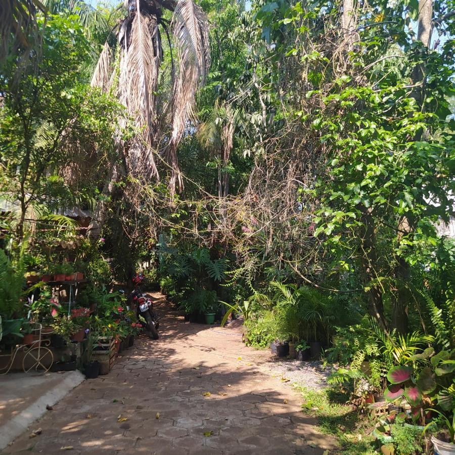 Hostel Guazu Puerto Iguazu Luaran gambar