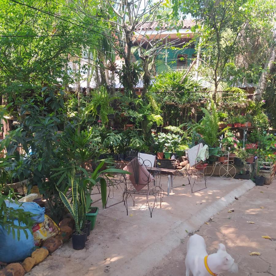 Hostel Guazu Puerto Iguazu Luaran gambar